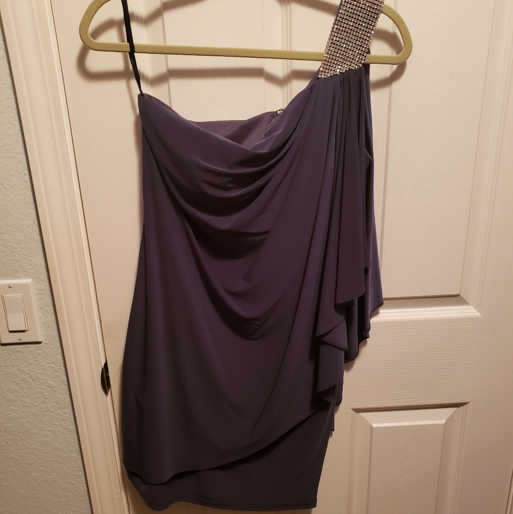 Cache Gray Dress